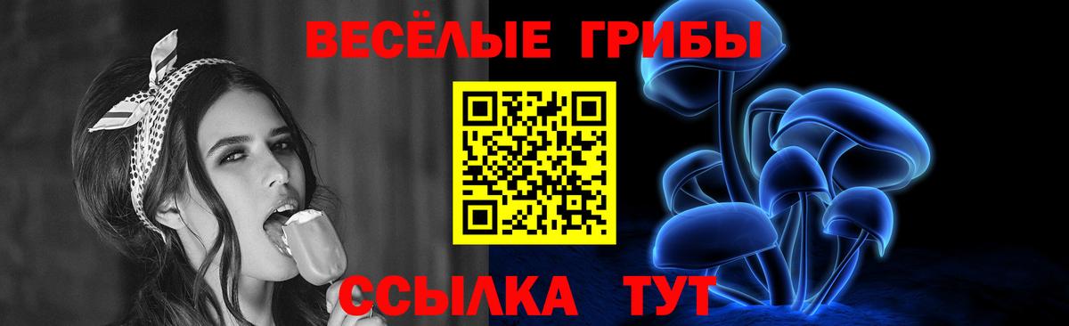 Галлюциногенные грибы Psilocybe  Галлюциногенные грибы MAGIC MUSHROOMS  наркошоп  Вход с VPN  Майкоп 